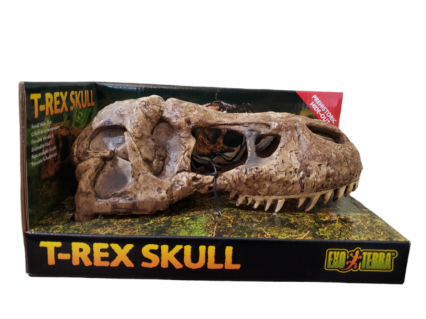 ExoTerra T-Rex Skull Fossil Hide Out – מסתור בעיצוב גולגולת פרהיסטורית